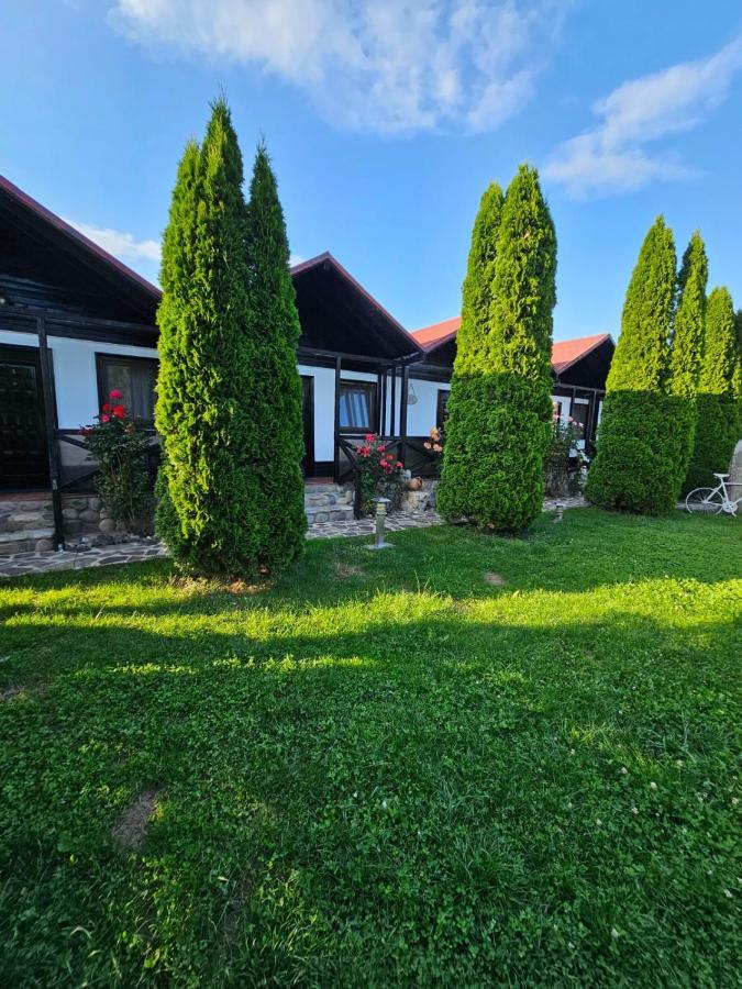 Отель Complex Valea Argesului Albestii de Arges Экстерьер фото